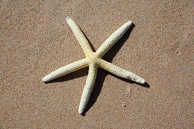 新《期待在地下城邂逅有错吗》游戏版信息公布